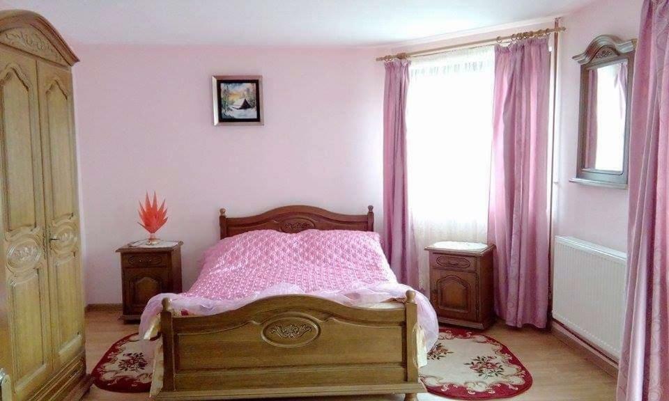 Pensiunea Argela מראה חיצוני תמונה